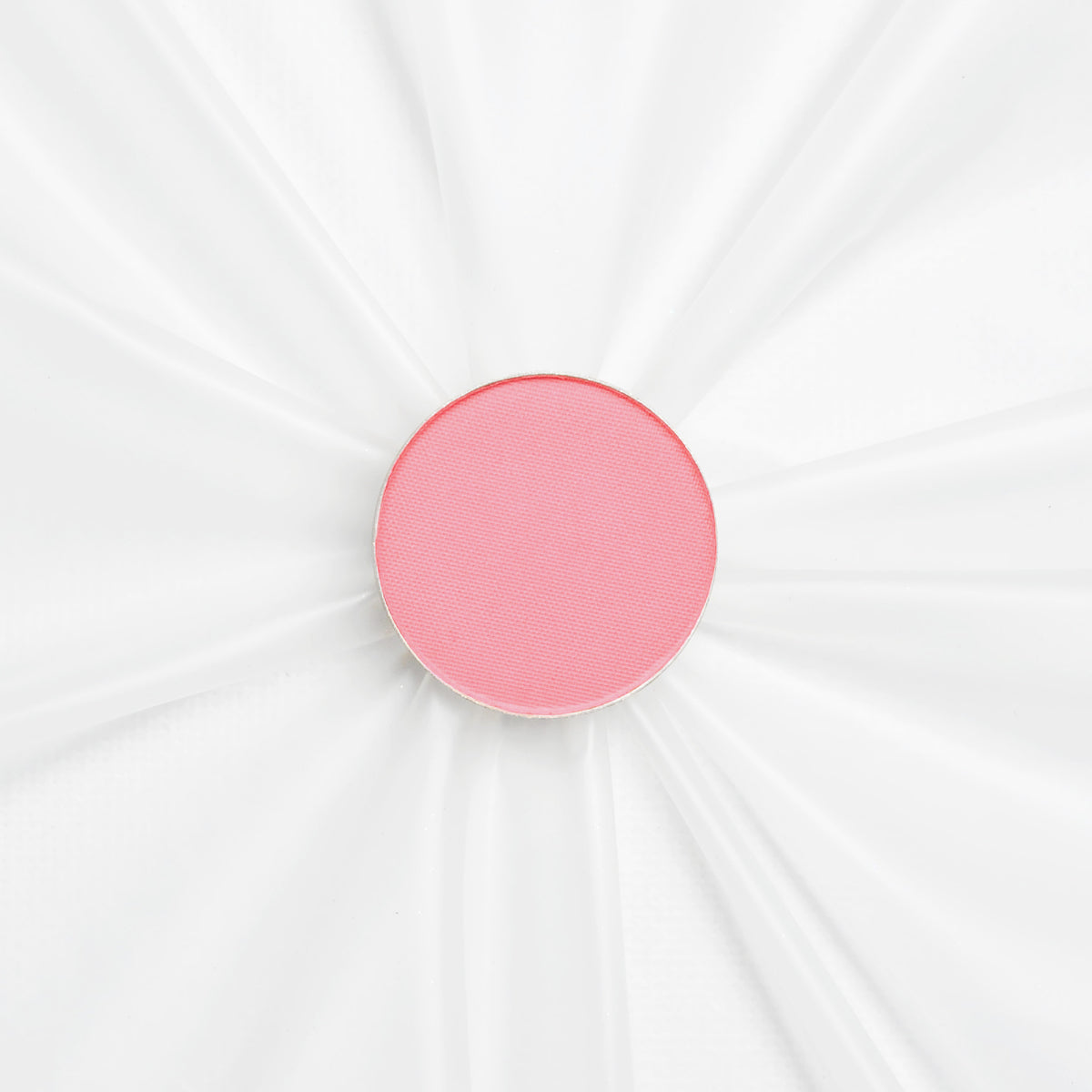 Ground Petal